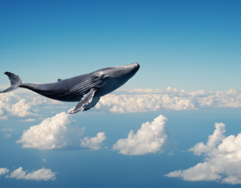 Fooocus 画图：蓝鲸在天上飞