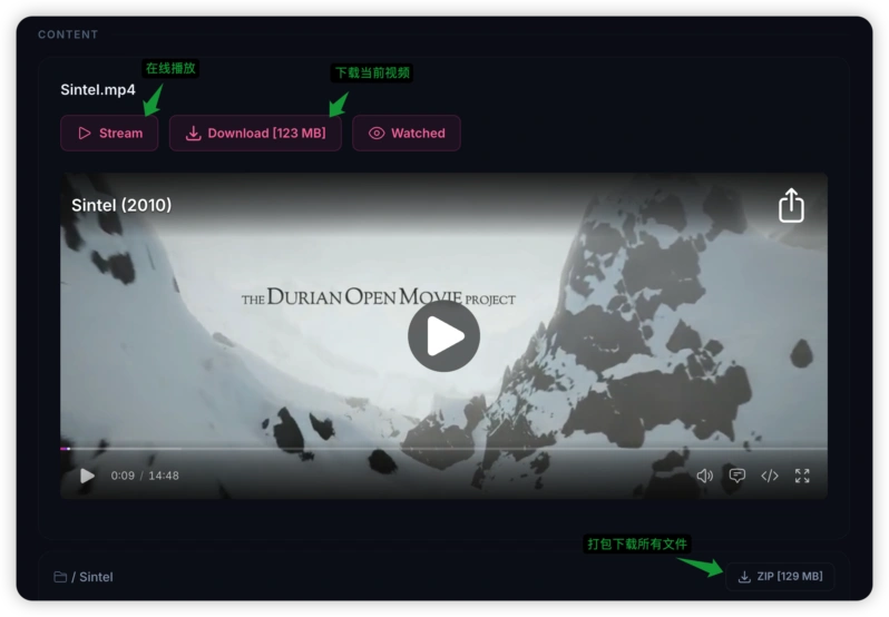 webtor.io 在线播放视频,按钮功能注释