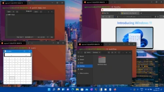 WSL 运行 Linux GUI 程序