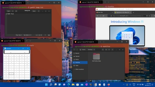 WSL 运行 Linux GUI 程序